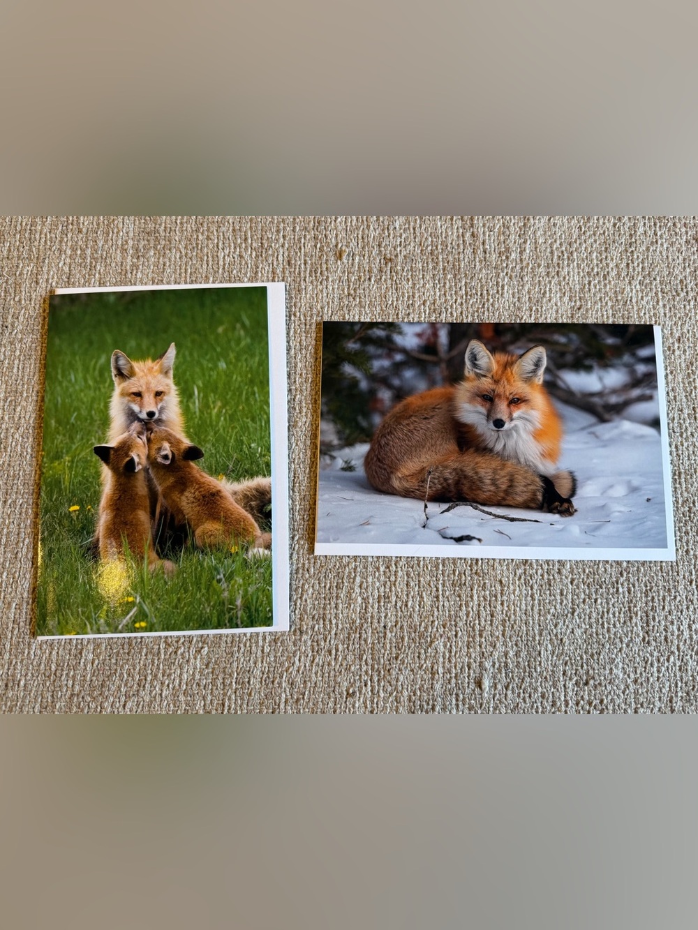 NEW Set/2 Thomas Mangelsen Framable Cards Fox Family